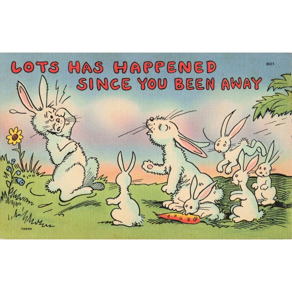 Vintage Tichnor Bros Postcard Lots Has Happened Since You Been Away Rabbit 801 - Picture 1 of 2